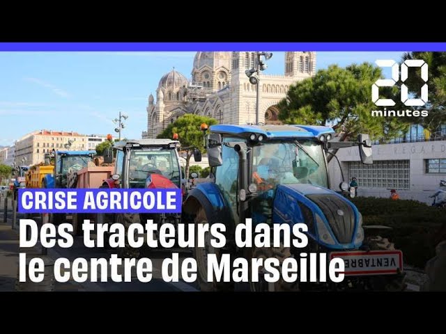 Crise agricole : Des agriculteurs déversent du foin devant la Draaf à Marseille