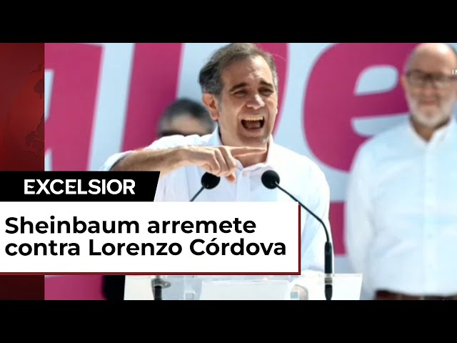 Marcha por la Democracia 2024: Así se vivió en los estados