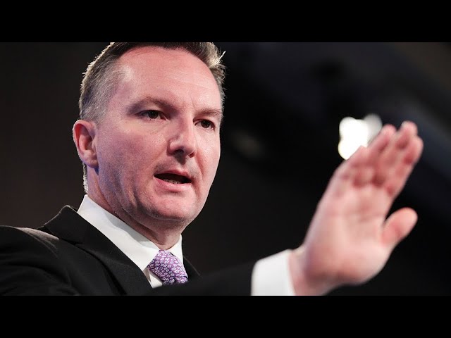 ‘War on utes’: Chris Bowen making sure ‘no one’ will be able to sell SUVs