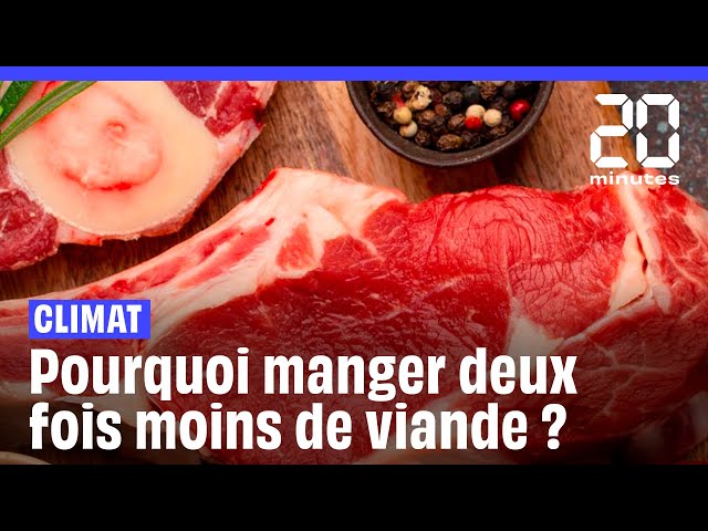 Manger deux fois moins de viande, une pratique bonne pour la santé et le climat ?