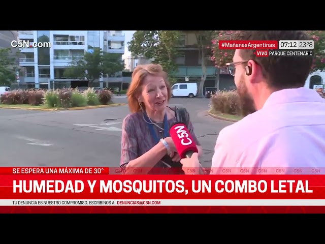 INVASIÓN de MOSQUITOS en CAPITAL FEDERAL: CÓMO COMBATIRLOS