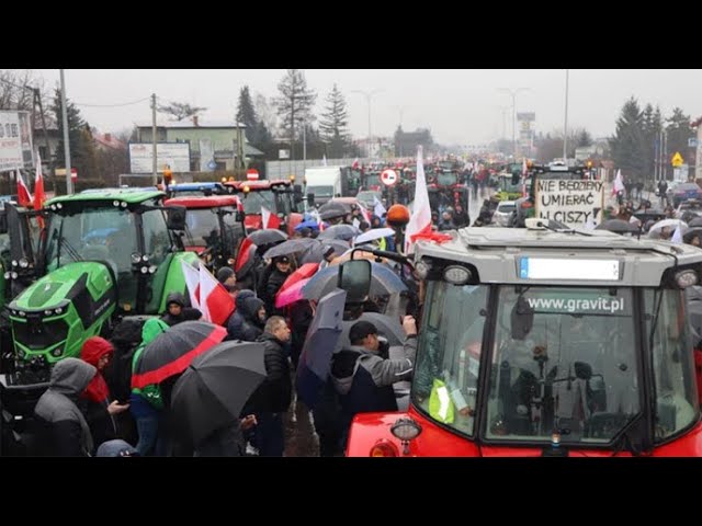 ⁣Поляки блокують: дороги і залізницю Polacy blokują granicę z Ukrainą Poles block border with Ukraine