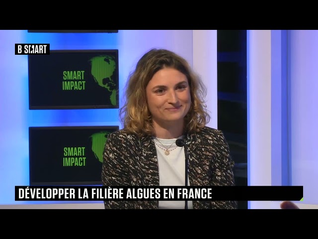 SMART IMPACT - Développer la filière des algues en France