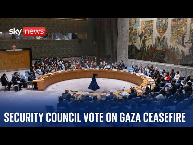 Watch live: UN Security Council to vote on a ceasefire in Gaza