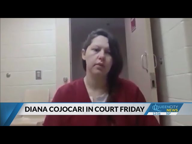 Mother of missing Madalina Cojocari to appear in court this week