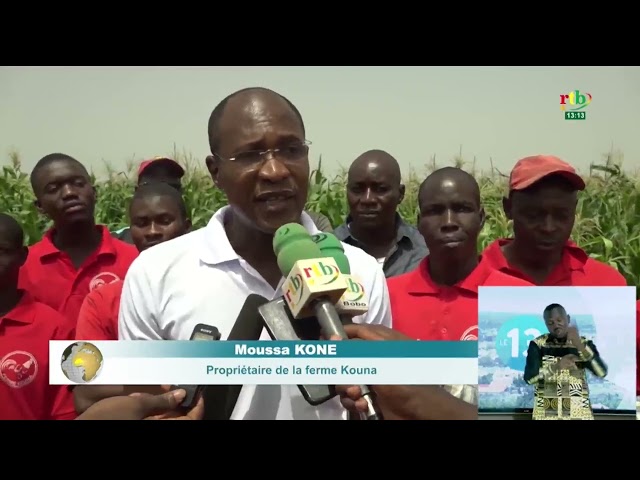 Campagne agricole sèche : le Ministre Ismaël Sombié visite des périmètres aménagés dans les Cascades