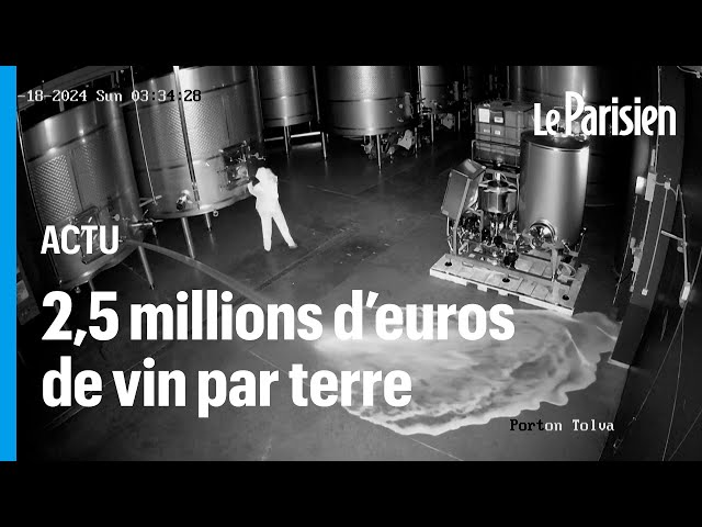 Espagne : un homme masqué vide les cuves géantes d'un producteur de vin