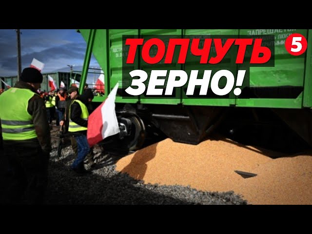 НОГАМИ ПО українському ЗЕРНУ! Що відбувається на кордоні з Польщею?