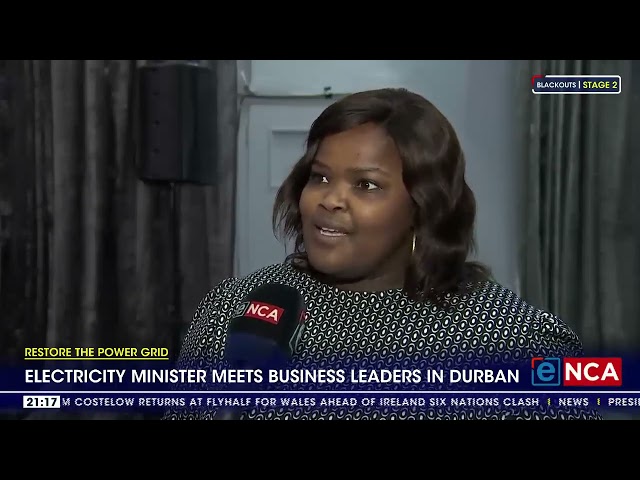 Electricity minister meets business leaders in Durban