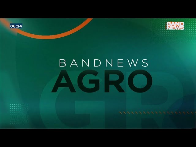 Samanta Pineda: GT de Agricultura do G20 apresenta pautas prioritárias | BandNews TV