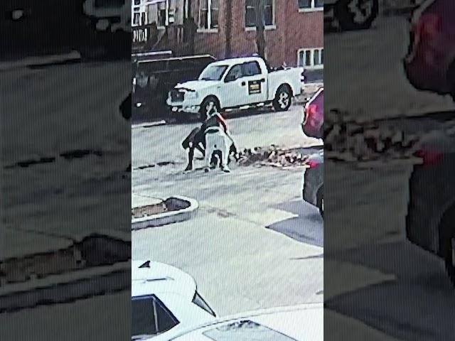 Harrowing video shows brazen daylight attack in Chicago’s Portage Park