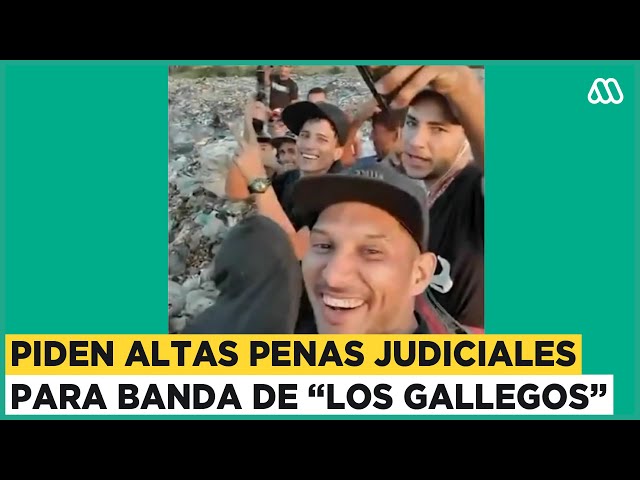 Piden altas penas para "Los Gallegos": Célula del Tren de Aragua tendrá juicio en mayo