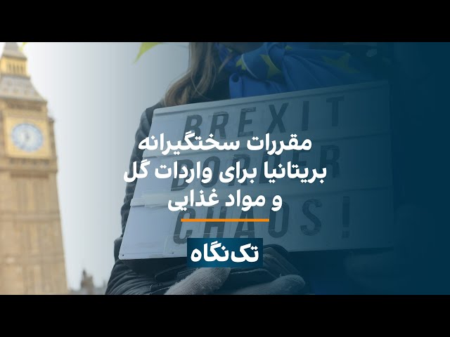 تک‌نگاه - مقررات سختگیرانه بریتانیا برای واردات گل و مواد غذایی