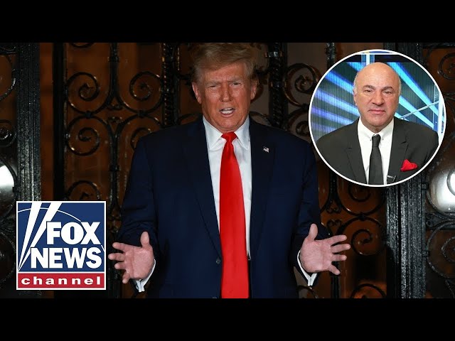 Kevin O'Leary goes off on NYC after Trump ruling: 'The #1 loser state!'