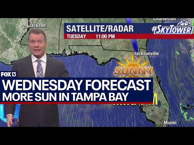 Tampa weather | cold morning turns into mild warmup on Feb. 21, 2024