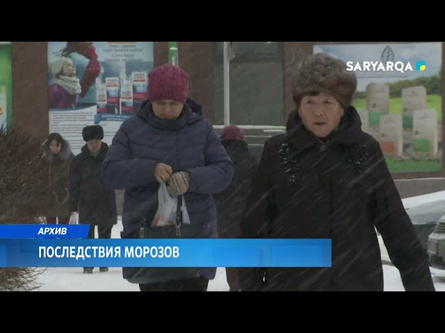 Последствия морозов