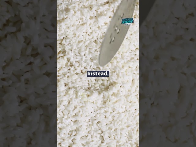 Putting your iPhone in rice ‘will not save it’ #itvnews