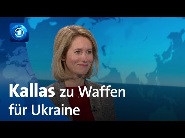 Anhaltende Diskussionen um Taurus-Lieferungen durch Deutschland