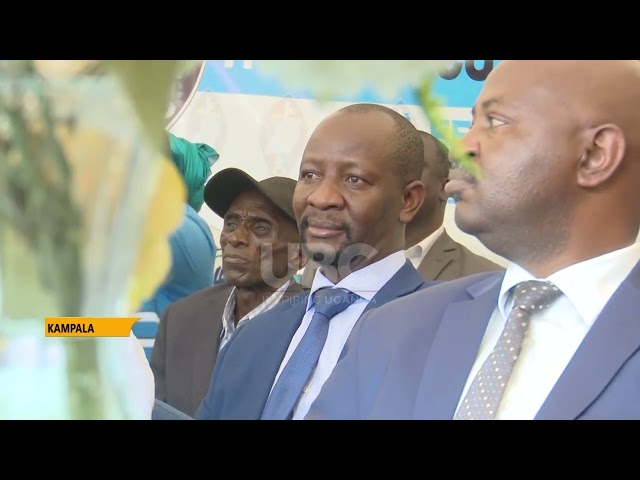 PROPOSAL FOR NEW POLITICAL PARTY AMIDST FDC DIVISION