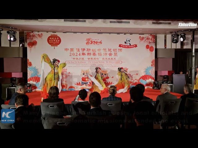 Reception held in Istanbul to mark Chinese Lunar New Year