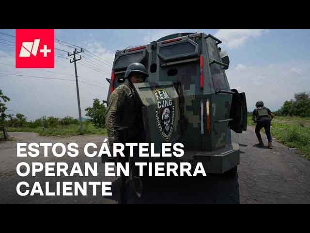 ¿Qué cárteles operan en Tierra Caliente, en Guerrero?: Danielle Dithurbide explica en Despierta