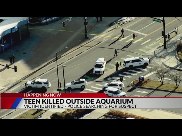 Police identify 19-year-old killed in Valentine’s Day aquarium shooting