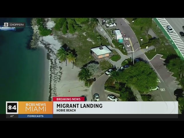 Migrant landing at Hobie Beach