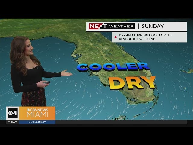 South Florida 9 a.m. Weather Forecast 2/21/2024