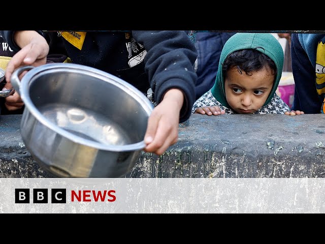 Israel-Gaza: World Food Programme stops deliveries to northern Gaza | BBC News