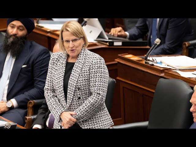 ⁣Ontario minister Sylvia Jones heckled in parliament over alleged $4K purse purchase | WATCH