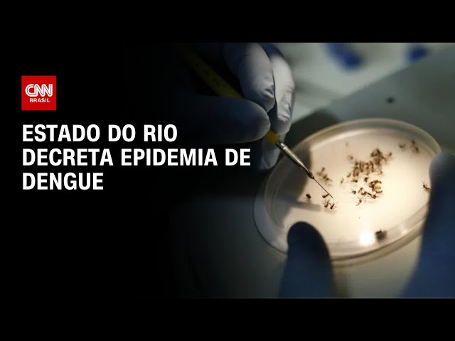 Governo do Rio decreta epidemia de dengue no estado | CNN 360º