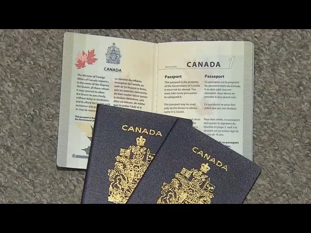 Whatever happened to the plan for online passport renewal in Canada?