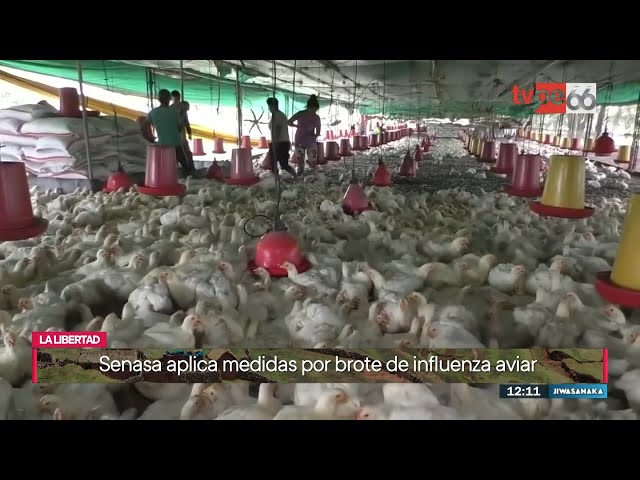 Jiwasanaka mediodía (21/02/2024) | TVPerú Noticias