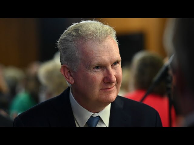 ‘When you’re working you should be paid’: Tony Burke on right to disconnect laws