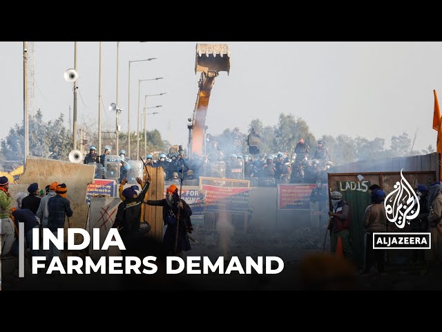 Small Indian farmers demand fixed prices amidst pro-corporation farming law vulnerability