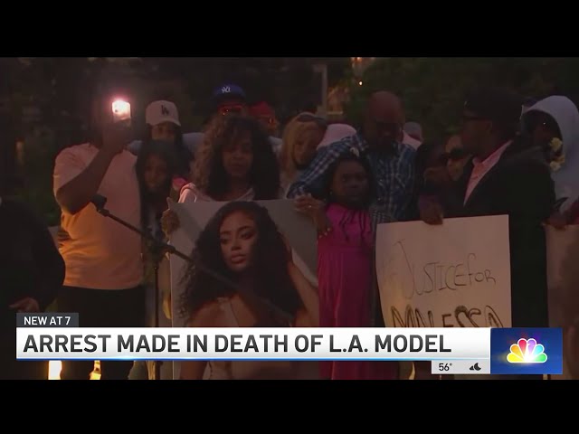 Arrest made in LA model's brutal slaying