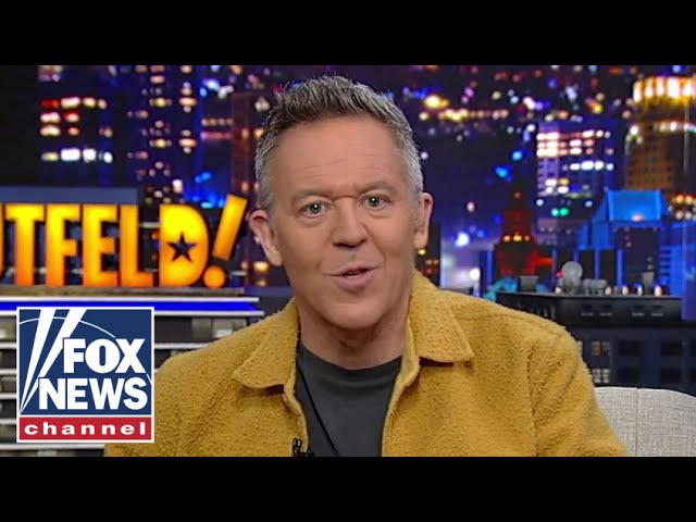 Gutfeld: It's the safety. Stupid!