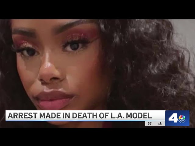 Arrest made in gruesome death of LA model