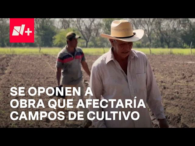 Escasez de Agua: Campesinos evitan construcción de obra hídrica en Veracruz - En Punto