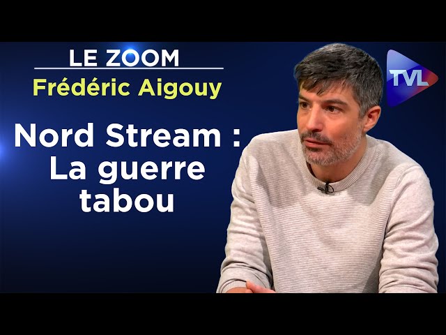 Le journaliste interdit d’Elysée ! - Le Zoom - Frédéric Aigouy - TVL