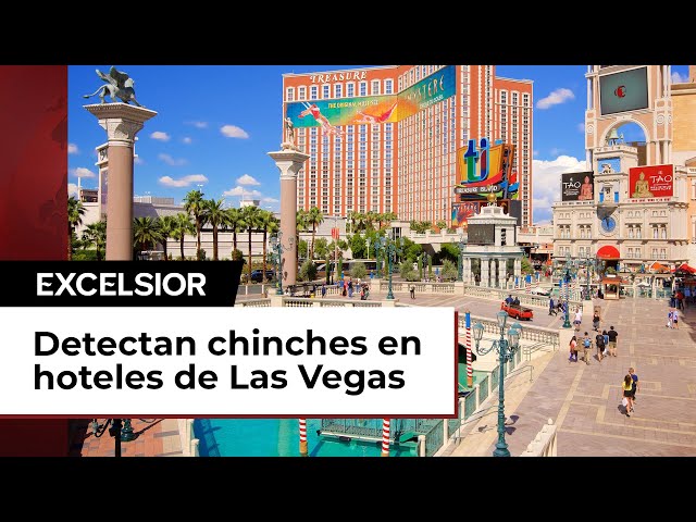 Presencia de chinches en hoteles de Las Vegas