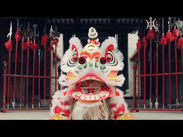 A glimpse of Guangdong Lion Dance