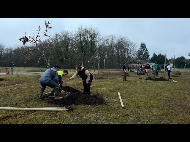 Une forêt comestible en plein cœur du lycée Charles de Gaulle