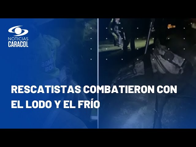 Rescatan a una yegua que cayó a un caño en Bogotá