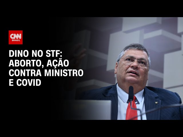 Dino no STF: Aborto, ação contra ministro e Covid | BRASIL MEIO-DIA