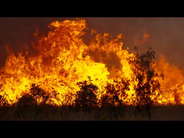 Tousands evactuated in Victoria as blaze spirals out-of-control