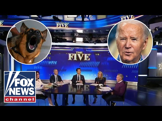 'The Five' reacts to Biden giving away his dog after 24 bites