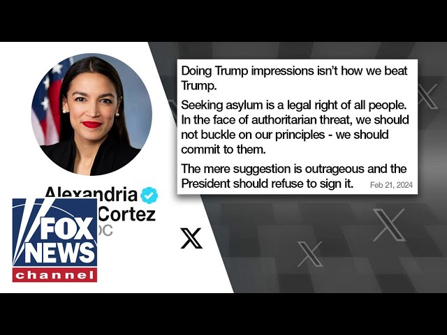 AOC roasted over asylum argument: 'She's not very smart'