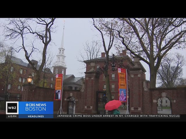 Harvard will not require students to submit test scores despite other Ivy Leagues reinstating policy