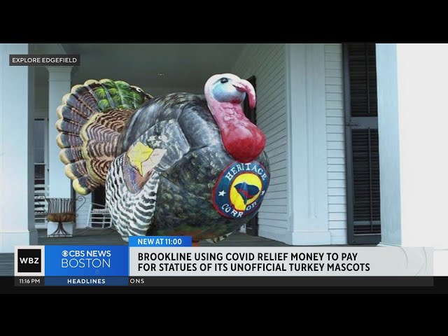 ⁣Brookline to use COVID relief money to fund statues of unofficial Turkey mascot